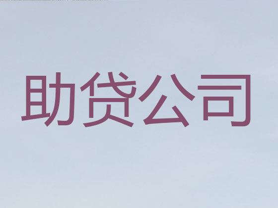 陆丰市贷款公司-信用贷款